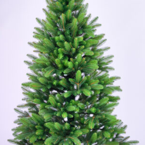 Эльза Литая