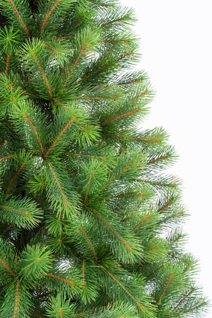 литая ёлка как выглядит хвоя